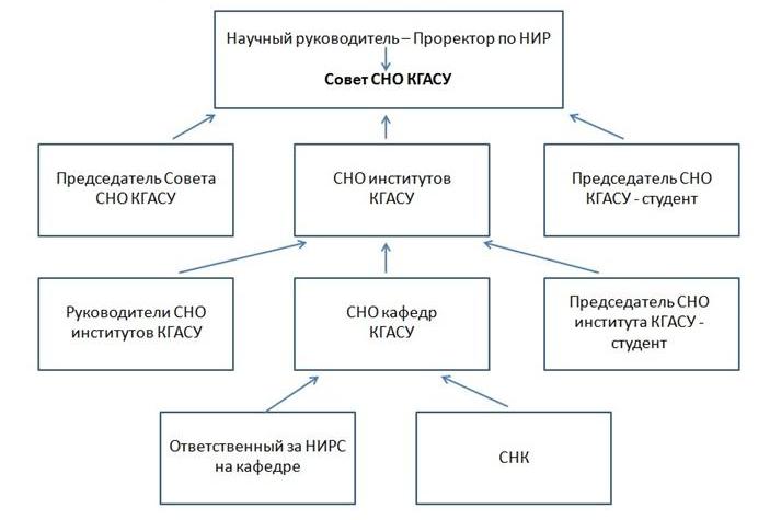 Организационная структура СНО